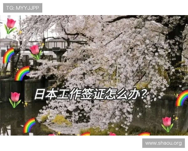 欧博官网开户条件及流程指南，详细说明注册所需条件与步骤，助你顺利开户