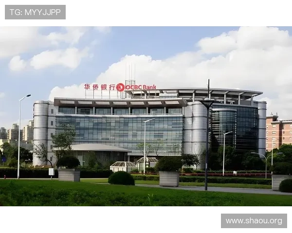 欧博网站开户常见问题及答案：新手用户在开户时常见的安全风险及防范措施详解