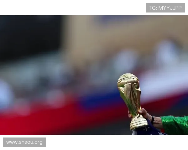 世界杯美国队与巴拉圭队员身价最新统计数据及其在比赛中的作用解析
